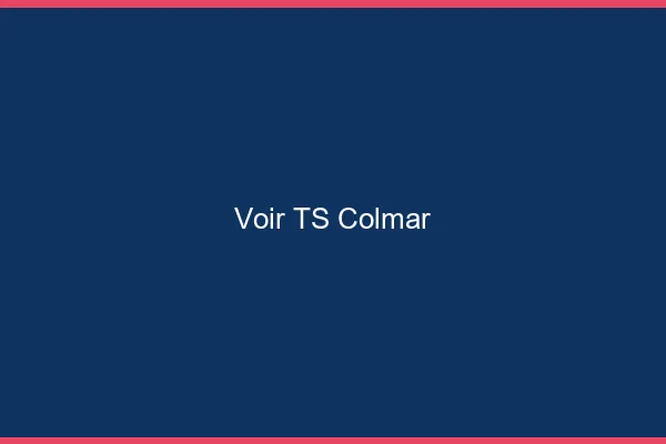 Voir TS Colmar