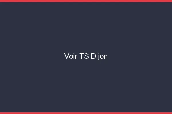 Voir TS Dijon