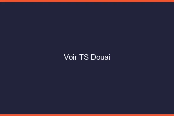 Voir TS Douai
