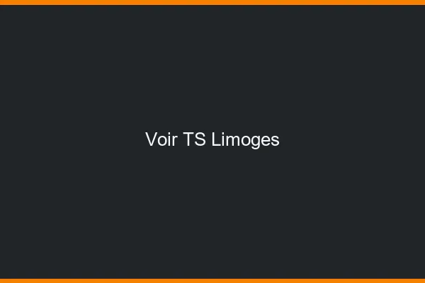Voir TS Limoges