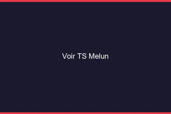 Voir TS Melun