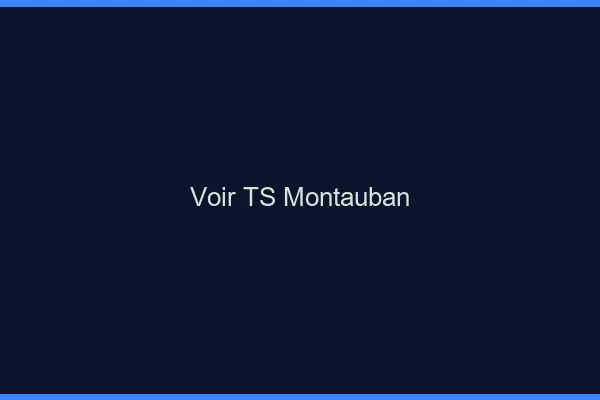 Voir TS Montauban