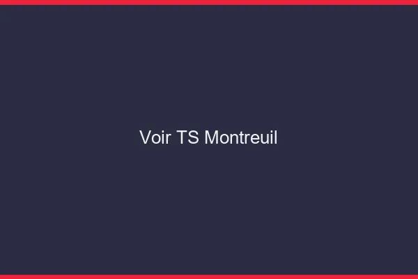 Voir TS Montreuil