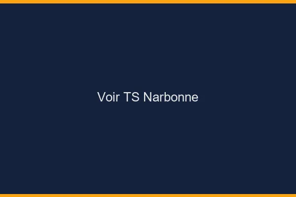 Voir TS Narbonne