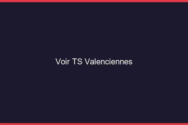 Voir TS Valenciennes