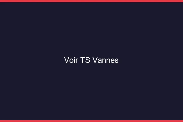Voir TS Vannes