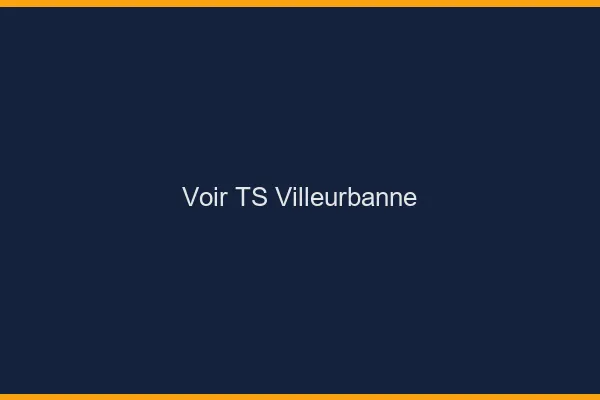 Voir TS Villeurbanne